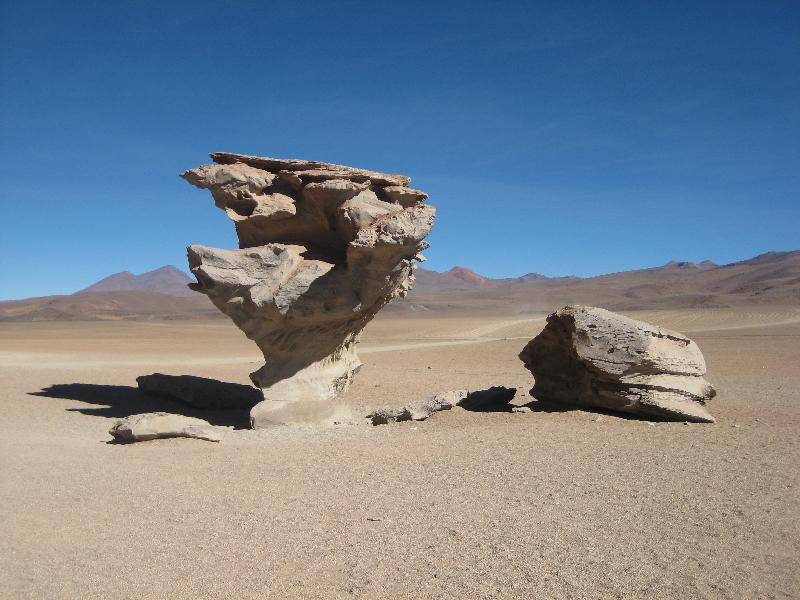 Arbol de Piedras