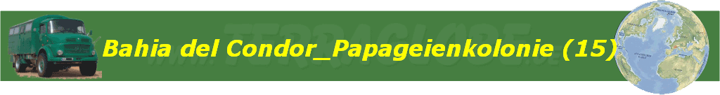 Bahia del Condor_Papageienkolonie (15)