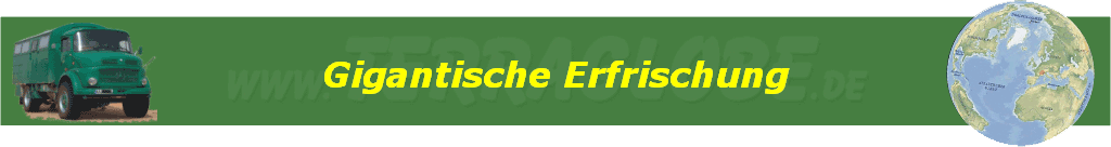 Gigantische Erfrischung