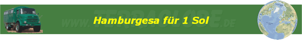 Hamburgesa f�r 1 Sol