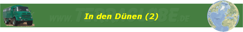In den D�nen (2)