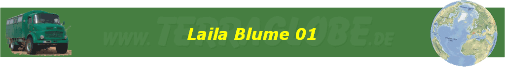 Laila Blume 01