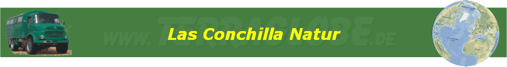 Las Conchilla Natur