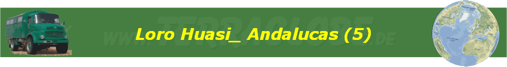 Loro Huasi_ Andalucas (5)