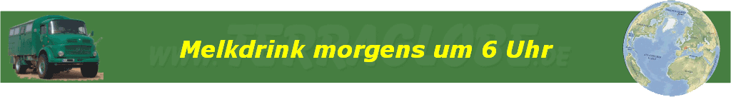 Melkdrink morgens um 6 Uhr