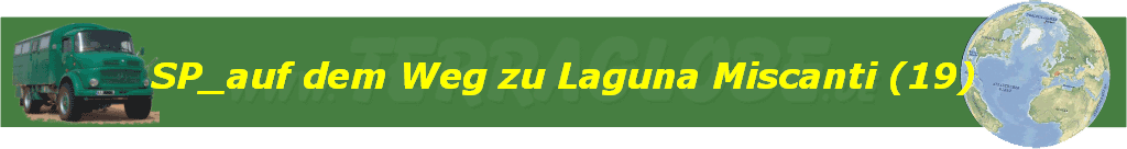 SP_auf dem Weg zu Laguna Miscanti (19)