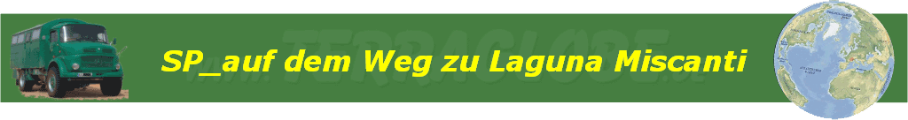 SP_auf dem Weg zu Laguna Miscanti