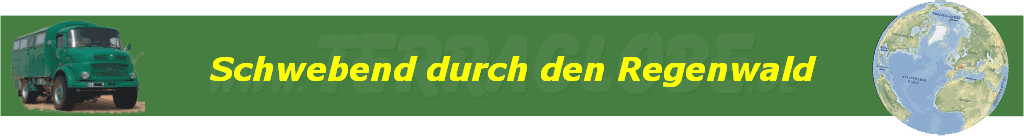 Schwebend durch den Regenwald