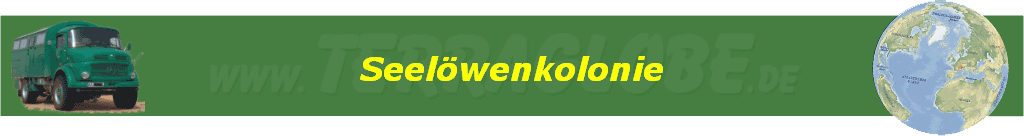 Seel�wenkolonie