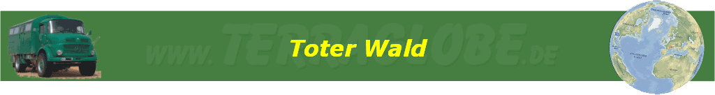 Toter Wald