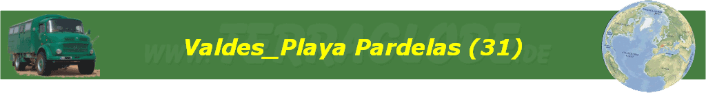 Valdes_Playa Pardelas (31)