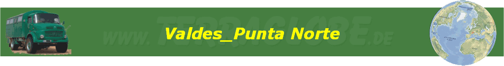 Valdes_Punta Norte