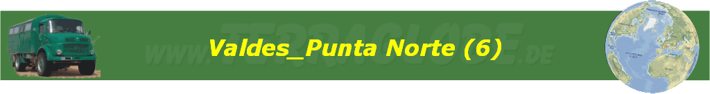 Valdes_Punta Norte (6)