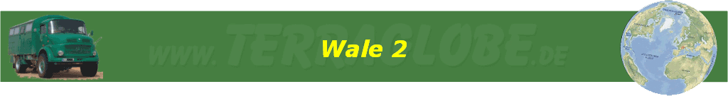 Wale 2