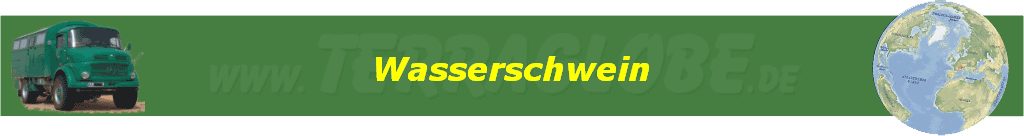 Wasserschwein