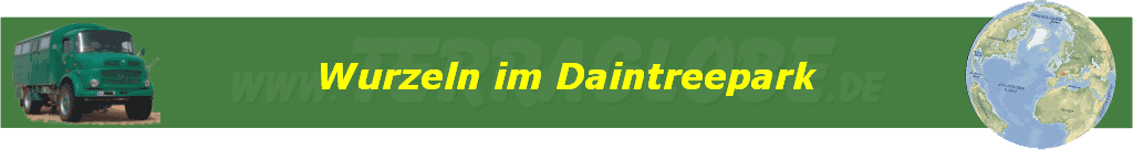 Wurzeln im Daintreepark