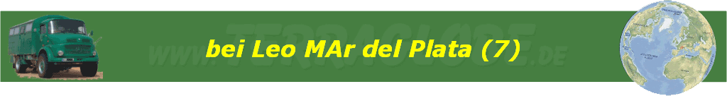 bei Leo MAr del Plata (7)
