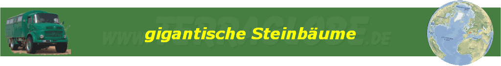 gigantische Steinb�ume