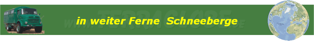 in weiter Ferne  Schneeberge
