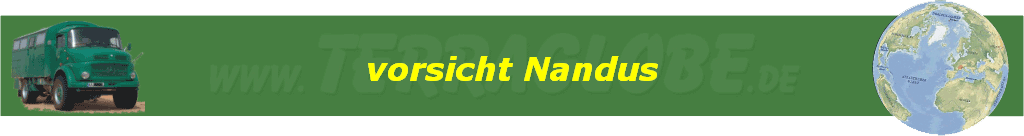 vorsicht Nandus