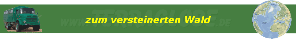 zum versteinerten Wald