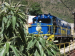 Besuch Machu Picchu 112