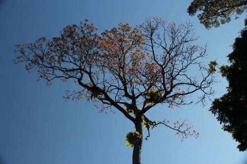 Byron Bay 04