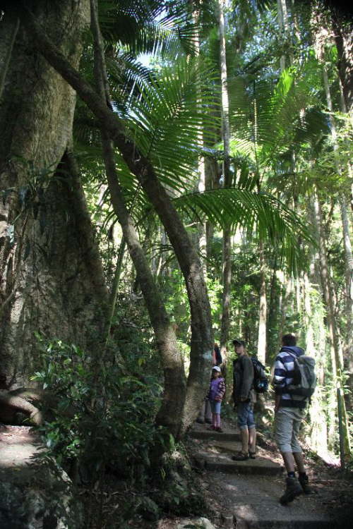 Byron Bay 05