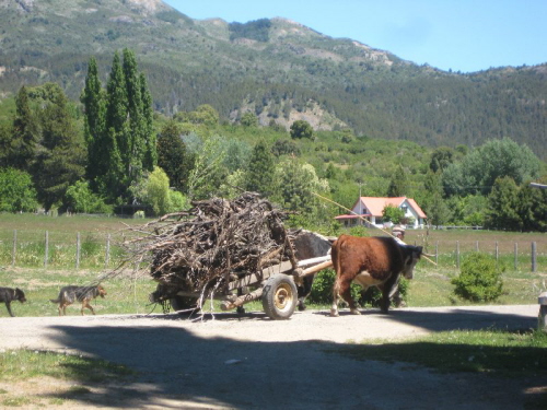 Chubut (21)