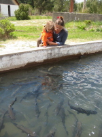 Chubut (30)