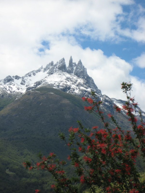 Chubut (31)