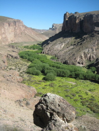Cueva de los Manos