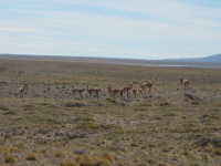 Fitz Roy