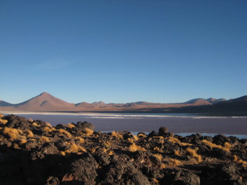 Laguna Colorado in der Abendd�mmerung