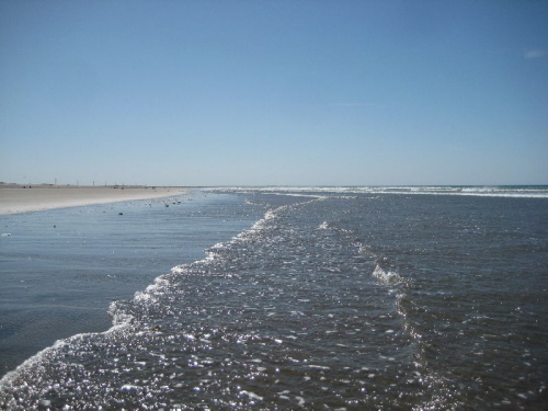 Las Conchilla Traumstrand