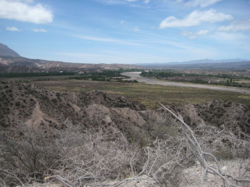 Loro Huasi_ Andalucas (5)