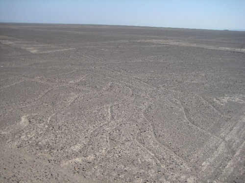 Nasca Geoglyphen der Baum