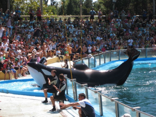 Park Mundo Marino (3)
