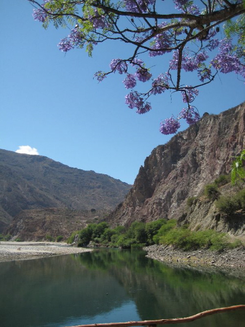 Pucio Cusco 38