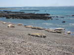 Punta Ninfas (15)