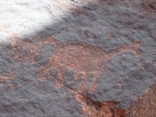 Talampaya 1 (17)
