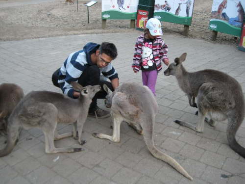 Tierpark 01