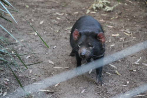 Tierpark 03