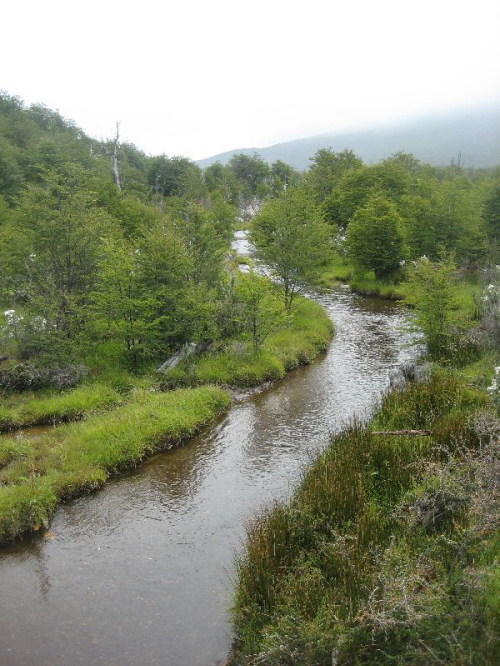 Tierro del Fuego Fluss