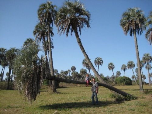 Ureinwohner aus Palmar