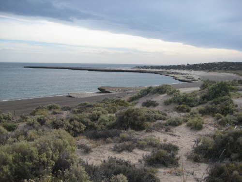 Valdes Playa Pardelas (73)