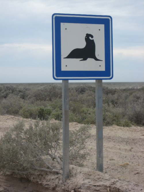 Valdes_Punta Norte