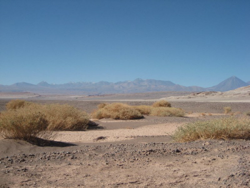 Valle de la Luna 21