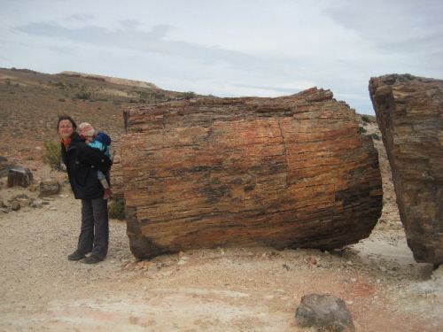 gigantische Steinb�ume